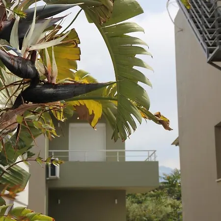 Kamares Apts - Antonis Cozy Maisonette Chania  Zewnętrze zdjęcie