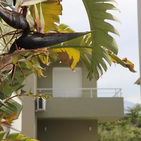 Kamares Apts - Antonis Cozy Maisonette Chania  Zewnętrze zdjęcie
